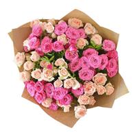 15 branches of pink and cream bush roses