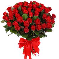 51 red roses of Eltoro