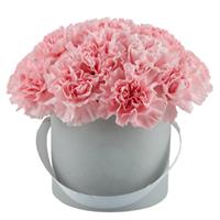 Bouquet of 15 pink carnations in a hat box