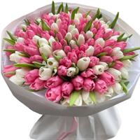 Spring bouquet of 101 tulips