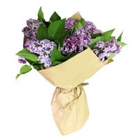 Spring bouquet  with 7 branches of lilac