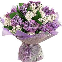 Fragrant bouquet with 25 lilac