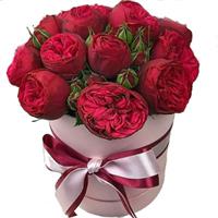 Red peony roses in a box