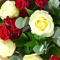Ніжний букет з білої троянди та червоної кущової троянди