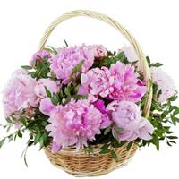 Basket with peonies
