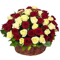 51 red and cream rose in the basket