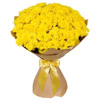 Bouquet of 15 yellow chrysanthemums