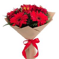 Bouquet of red gerberas and alstroemerias