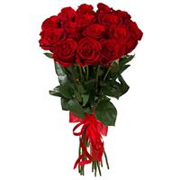 15 imported red roses