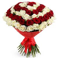 101 white and red roses