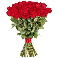 Вишуканий букет 51 червоних імпортних троянд