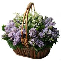 Bouquet of lily of the valley and lilac