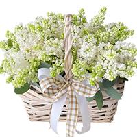 Basket with white lilac