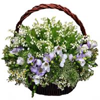 Basket with lilies of the valley and freesia