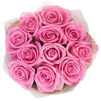 11 pink roses