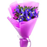 Bright bouquet of 15 blue irises 