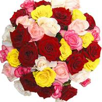 Букет з 35 різнокольорових троянд