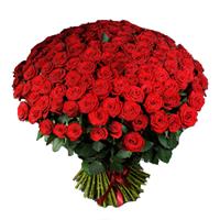 Gorgeous bouquet of 151 roses