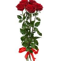 5 tall red roses