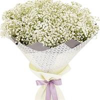 Delicate bouquet of 11 branches of gypsophila