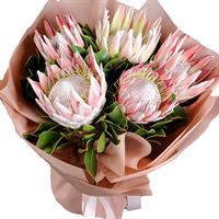 Exotic bouquet of 5 proteas