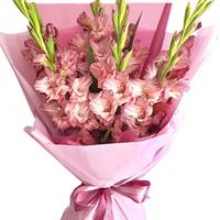 Delicate bouquet of 7 gladioli