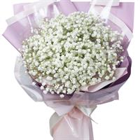 Small bunch of 5 branches of white gypsophila
