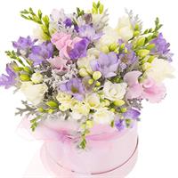 Composition in a box of freesias