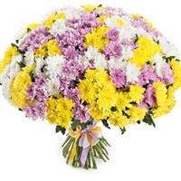 Lush bouquet of 51 multicolored chrysanthemums