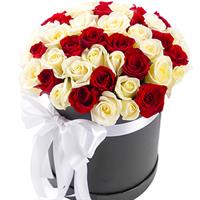 51 gorgeous roses in a box