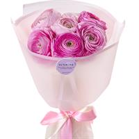 Delicate bouquet of pink ranunculus