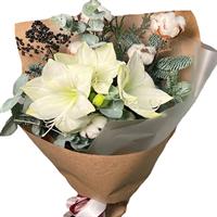 Bouquet of amaryllis and nobilis