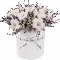 Arrangement in a box with cotton and lavender