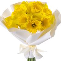 Bouquet of 7 daffodils