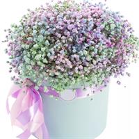 Composition with colored gypsophila in a box