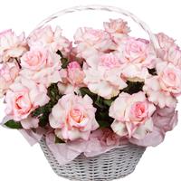 Корзина из нежно-розовых французских роз