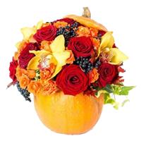 Composition of pumpkins and flowers