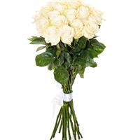 Bouquet of 19 imported white roses