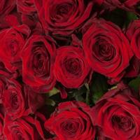 A wonderful basket of 51 red roses