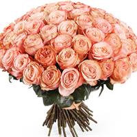 51 gorgeous roses of Cahala
