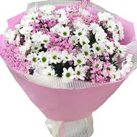 Bouquet of chamomile chrysanthemum and pink gypsophila