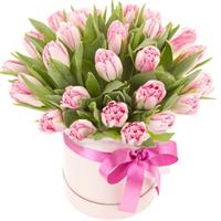 Box with pink tulips