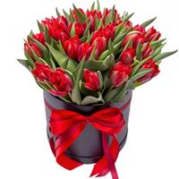 25 red tulips in the box