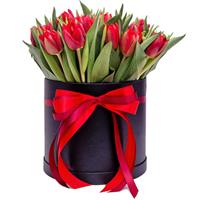 25 червоних тюльпанів в коробці