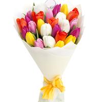 Букет із 25 різнокольорових тюльпанів
