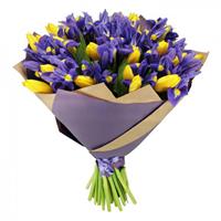 Букет з фіолетових ірисів та жовтих тюльпанів 
