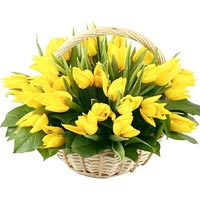 Basket with yellow tulips
