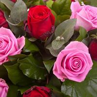 Букет червоних і рожевих троянд 