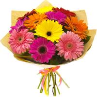 Bouquet of 11 colorful gerberas