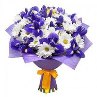 Bouquet of irises and chrysanthemums